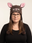 Bunny Rabbit